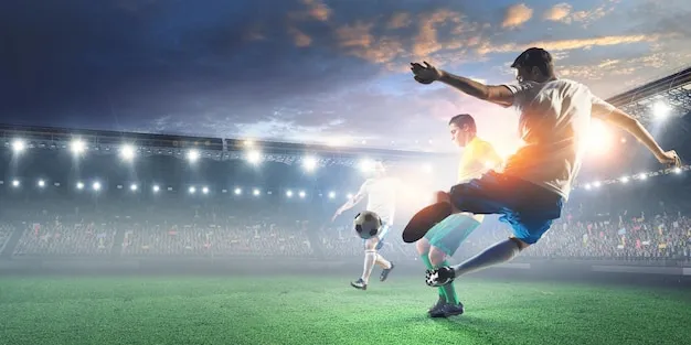 MK体育官方APP 背景图